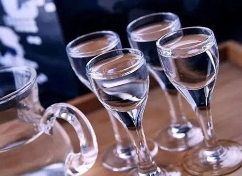 飲酒量如何計算？學會這些方法，快速評估你的酒量