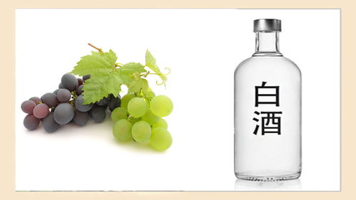 酒桌上“千杯不倒”的秘密，快來(lái)看看你知道幾個(gè)