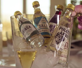 瑞典酒精飲料企業(yè)尋求中方合作伙伴 共拓酒精與脫醇酒市場(chǎng)新機(jī)遇